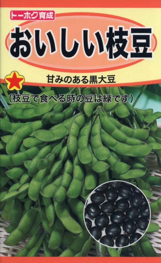 エダマメ種子 おいしい枝豆 の通販 | ホームセンター コメリドットコム