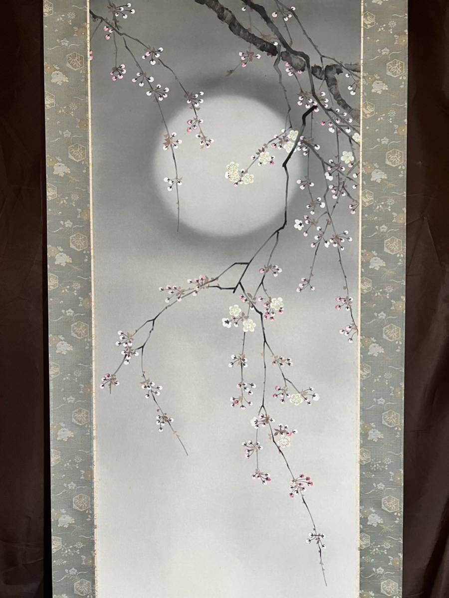 掛け軸 杉浦契雪 『 夜桜 』 絹本 希少 軸装 茶道具 掛軸 美品 です