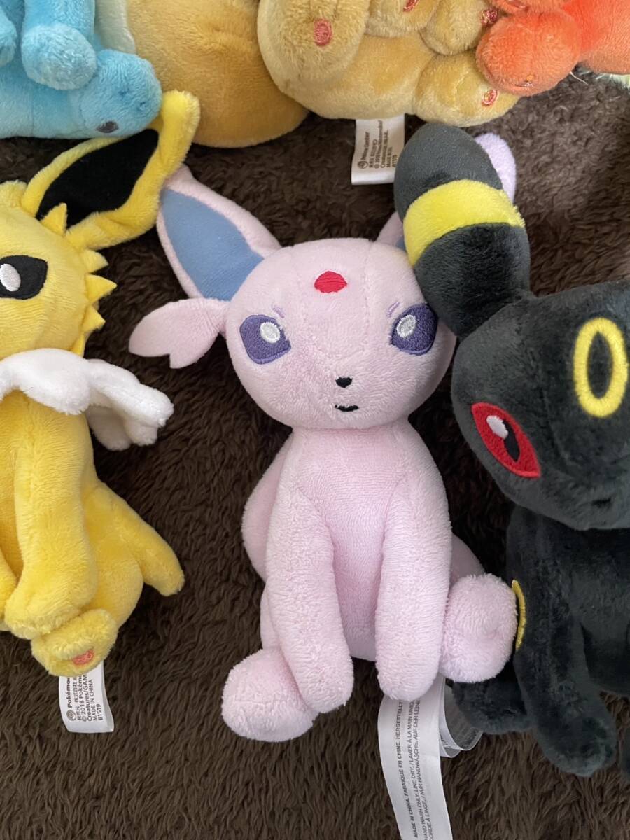 133 ぬいぐるみ Pokémon fit イーブイ ポケモンfit ブイズ ぬいぐるみ