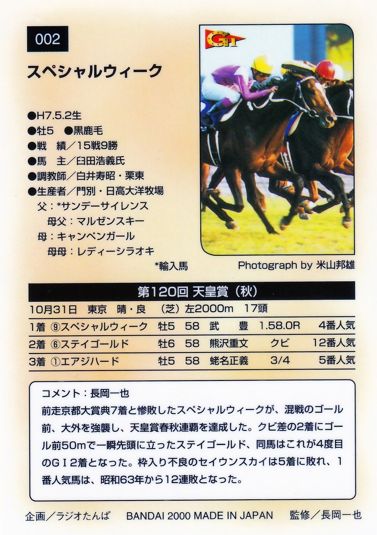 □現地的中単勝馬券□ バブルガムフェロー 1996年 天皇賞秋 □現地的中