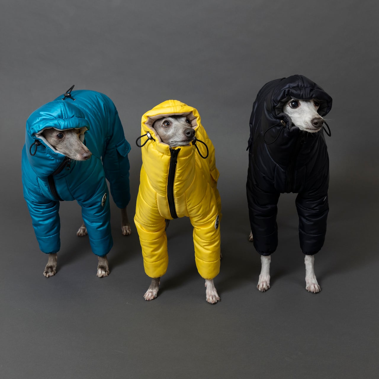 イタリアングレーハウンド専用サイズ 犬用防寒 インサレートスーツ