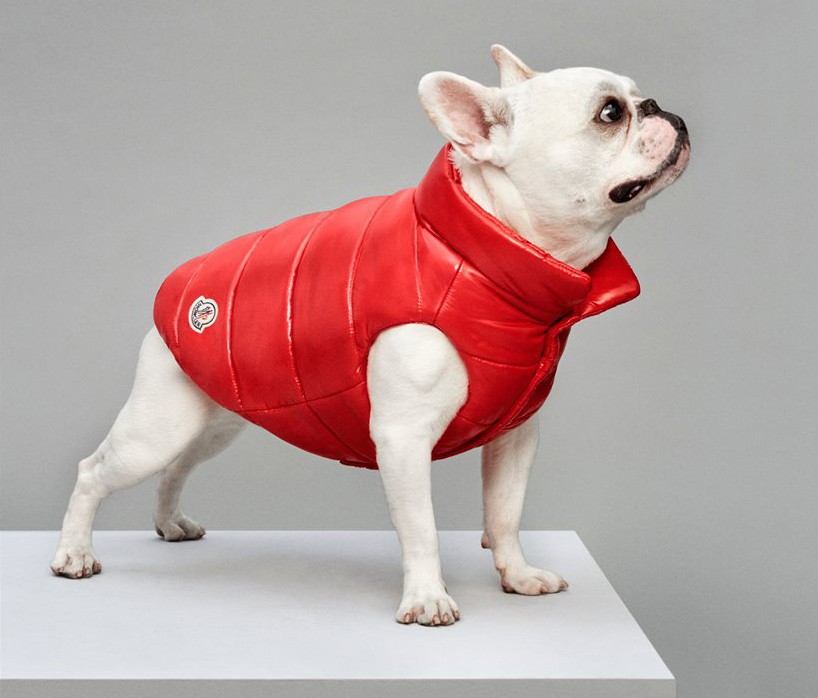MONCLER 犬用ボルドドッグクチュール ダウン モンクレール × ポルド