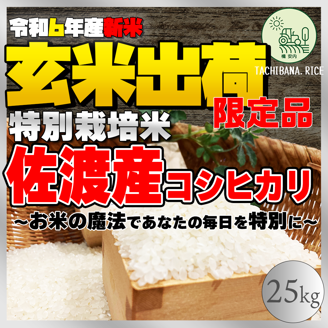 砕米 25キロ 白米 令和6年産 r22nnt5.jpg 砕米 25キロ 白米 令和