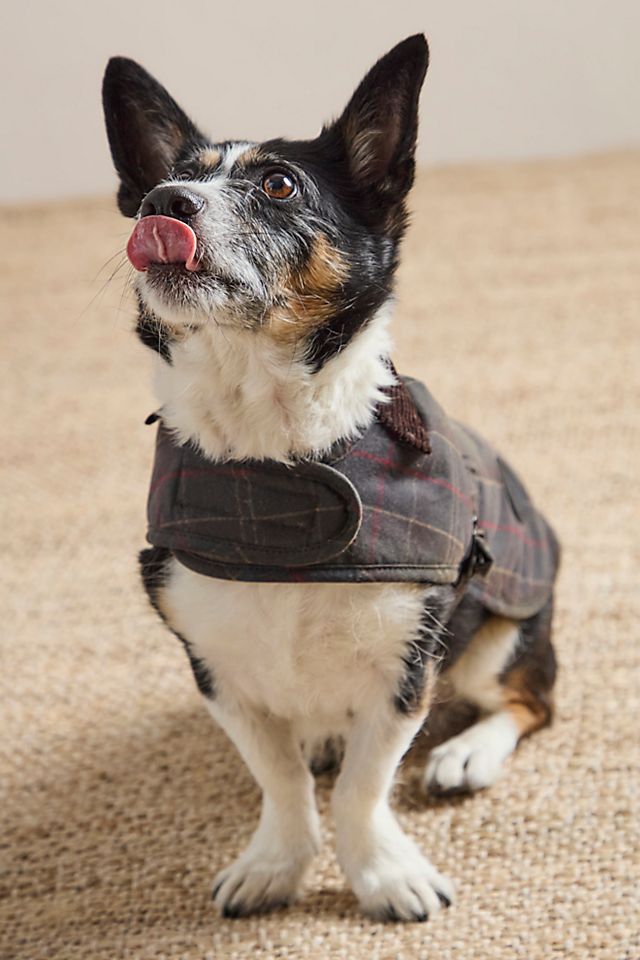 Barbour Wax Dog Coat | Free People