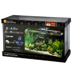 EHEIM（エーハイム） 60cm 水槽セット EJ−60＋外部フィルター