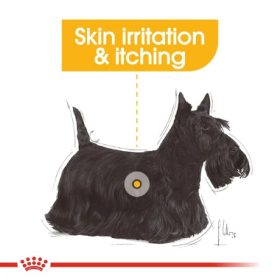 Royal Canin Dermacomfort Mini Dog - Buy at Vivapets