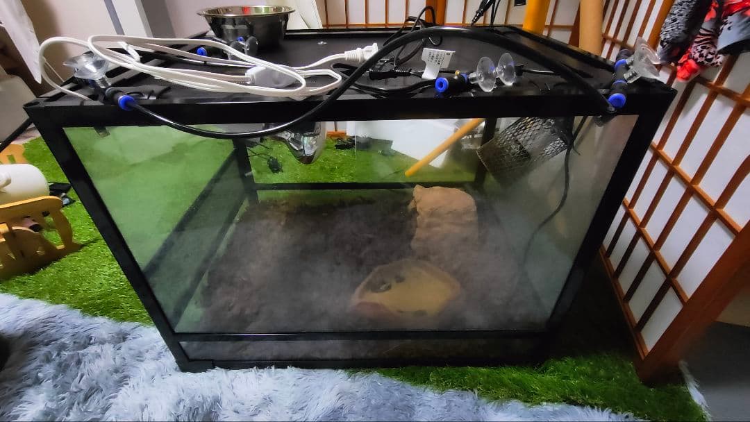 爬虫類飼育設備3点セット(飼育箱+LEDライト+保温球) 爬虫類飼育設備3点セット(飼育箱+LEDライト+保温球) 【公式通販】