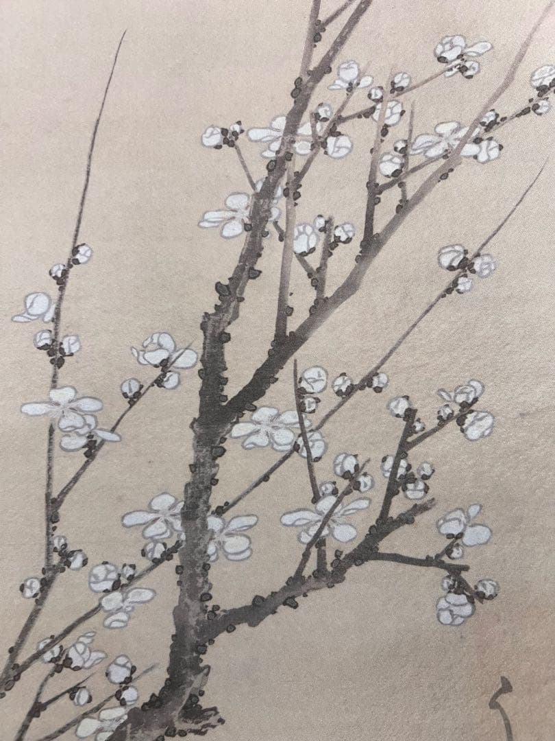 葛飾北斎『白梅図』 複製工芸 共箱 春 日本画 掛け軸 掛軸 茶掛 アート