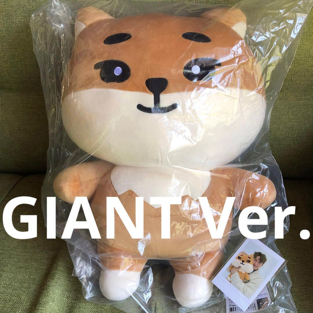day6 denimalz ぬいぐるみジャイアントver. トレカKE ヨンケイ DAY6 - DENIMALZ Plush Giant Ver. [2024 Special Concert 'The