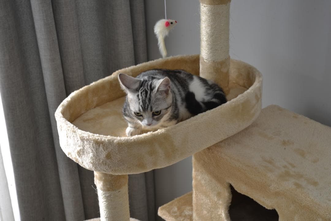 キャットタワー ミニ 猫タワー 安定 クッション 猫ハウス ストレス軽減