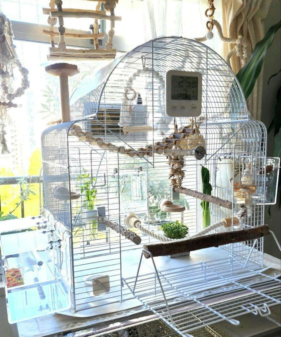 新品 ③ 大型 バードケージ 鳥かご ホワイト インコ 小鳥 ヨーロッパ輸入品 Amazon | Yaheetech 大型 鳥かご 大型鳥ケージ セキセイインコ 鳥小屋